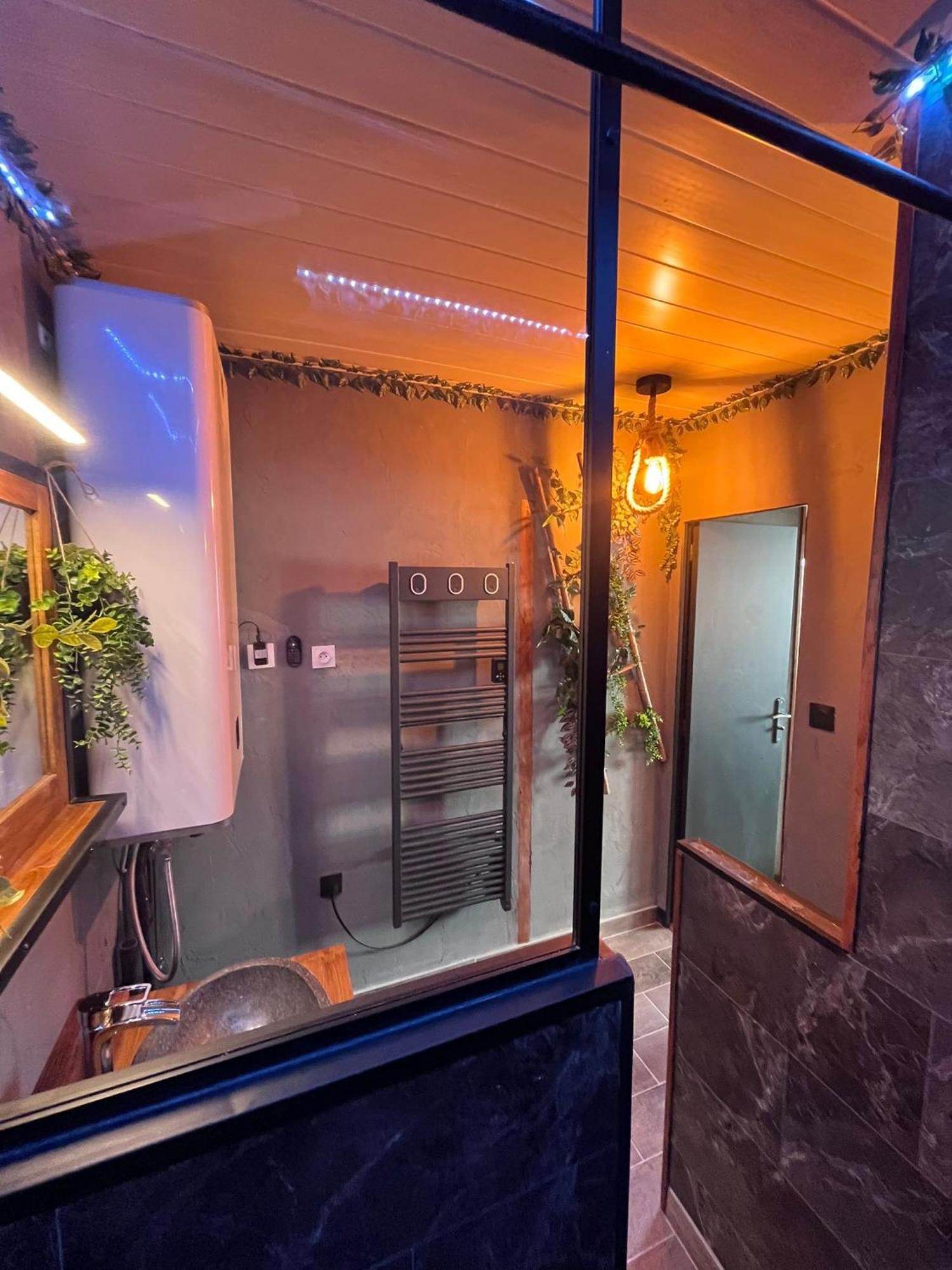 Oasis Tropical & Sauna Сент-Илер-де-Рье Экстерьер фото